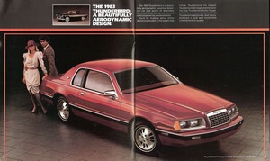 1983 Ford Thunderbird-02-03.jpg